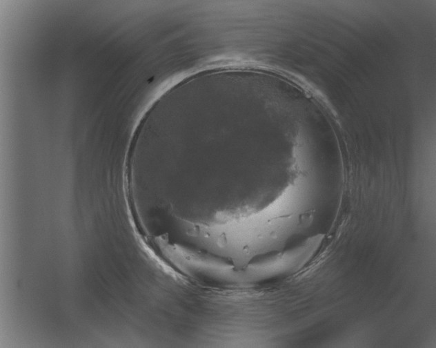 X0000056331239200509021621