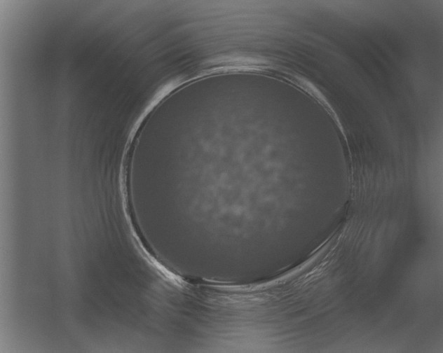 X0000056331243200509021621