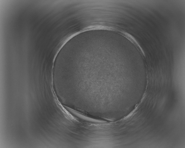 X0000056331244200509021621