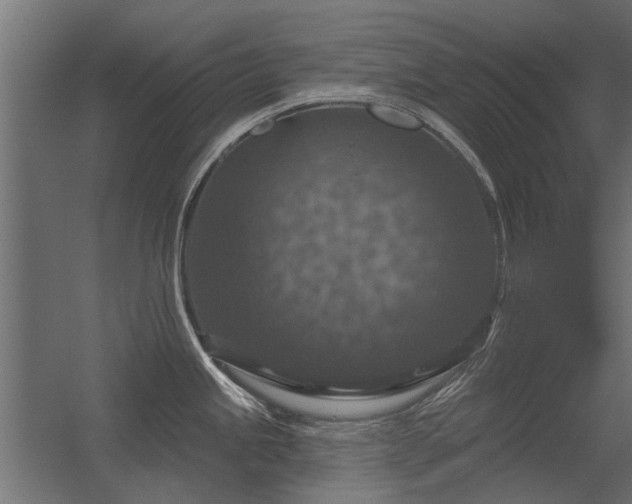 X0000056331245200509021621