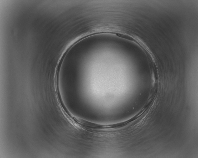 X0000056331246200509021621