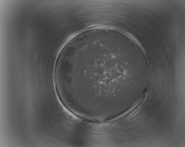 X0000056331247200509021621