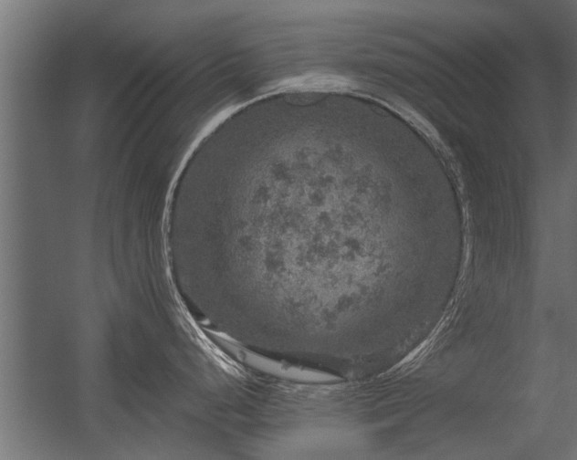 X0000056331248200509021621