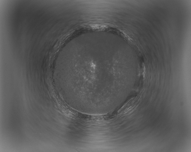 X0000056331249200509021620