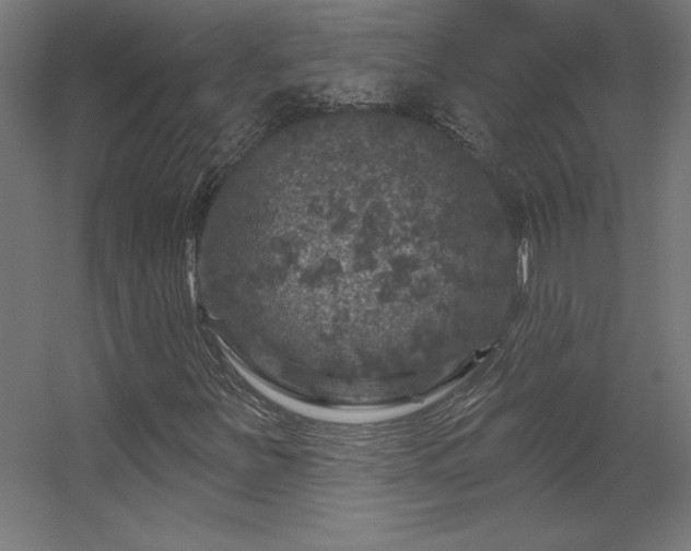 X0000056331251200509021620