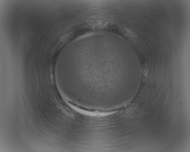 X0000056331252200509021620