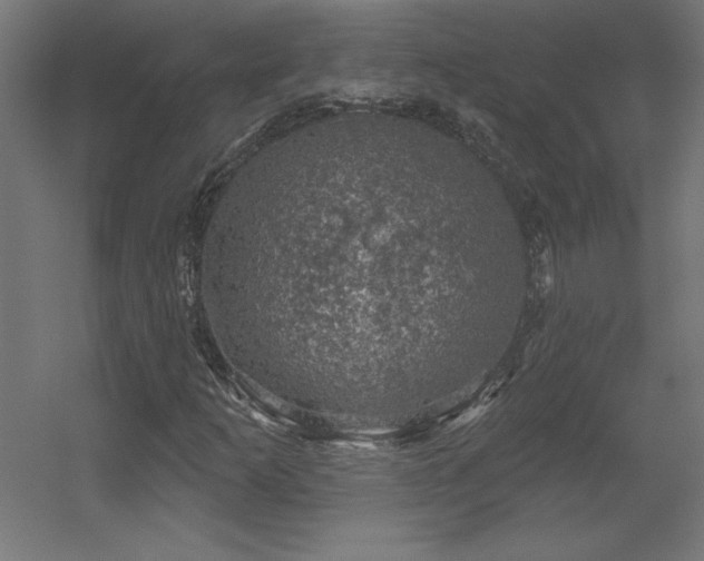 X0000056331253200509021620