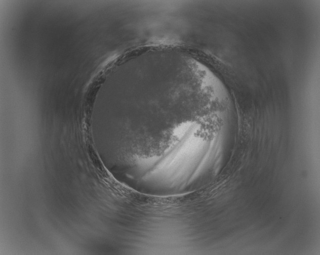 X0000056331254200509021620