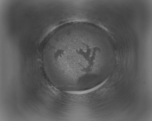 X0000056331255200509021620