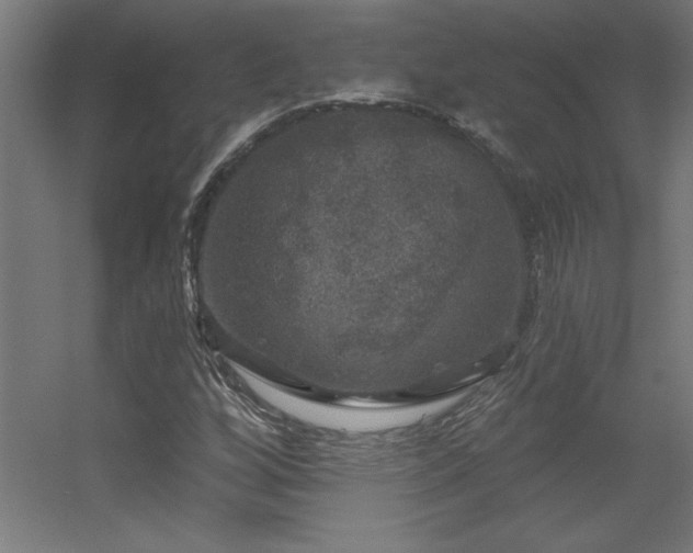 X0000056331256200509021620