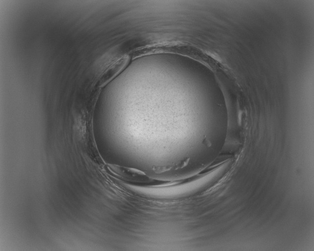 X0000056331257200509021620