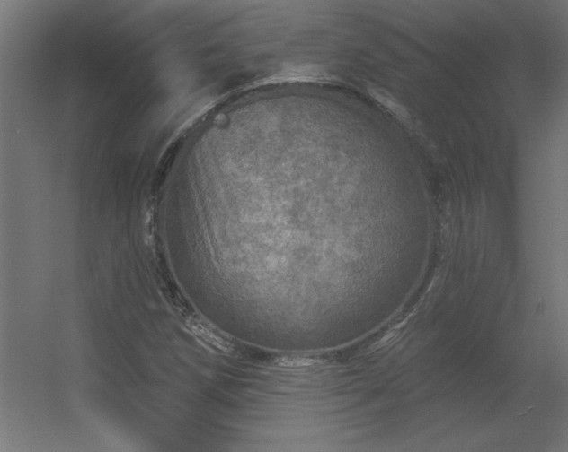 X0000056331258200509021620