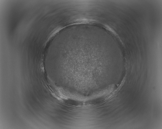 X0000056331259200509021620