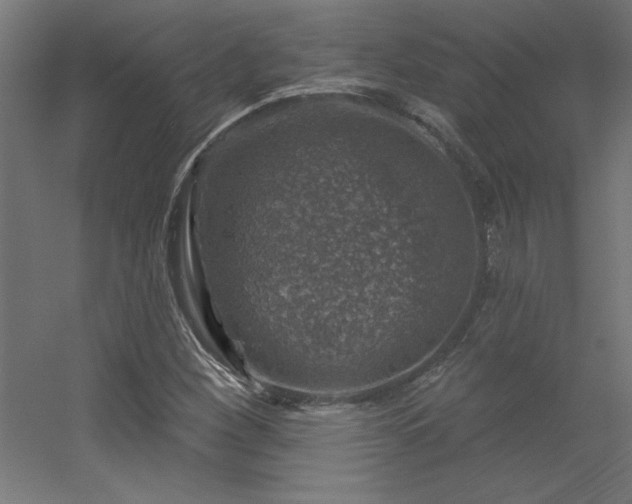 X0000056331260200509021620