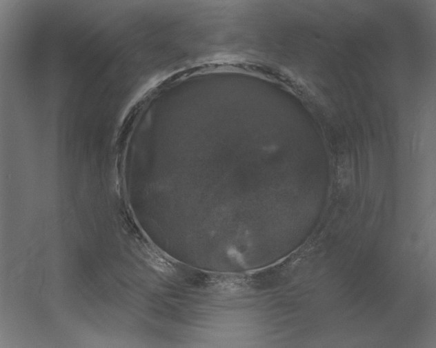 X0000056331262200509021620