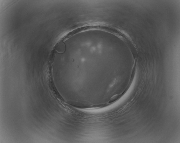 X0000056331263200509021620