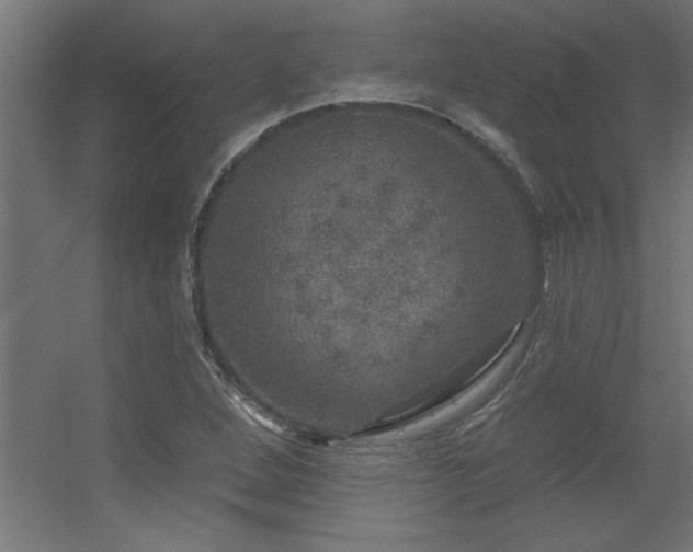 X0000056331264200509021620