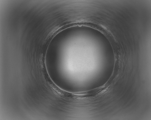 X0000056331265200509021620