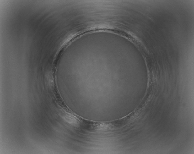 X0000056331266200509021620