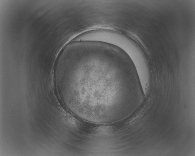 X0000056331268200509021620