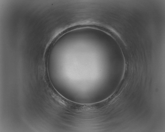 X0000056331270200509021620