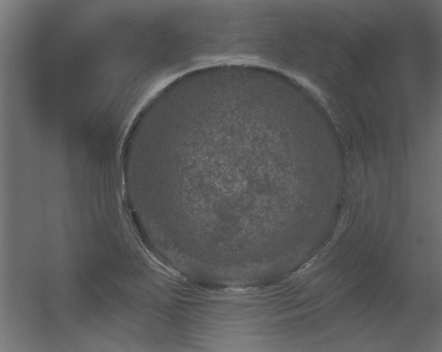 X0000056331271200509021620