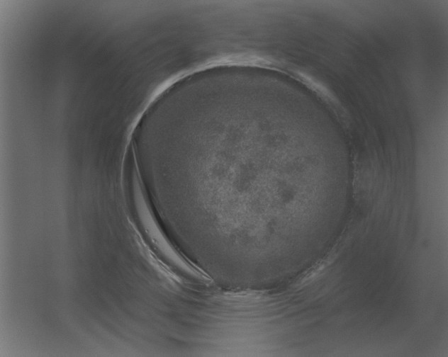 X0000056331272200509021620