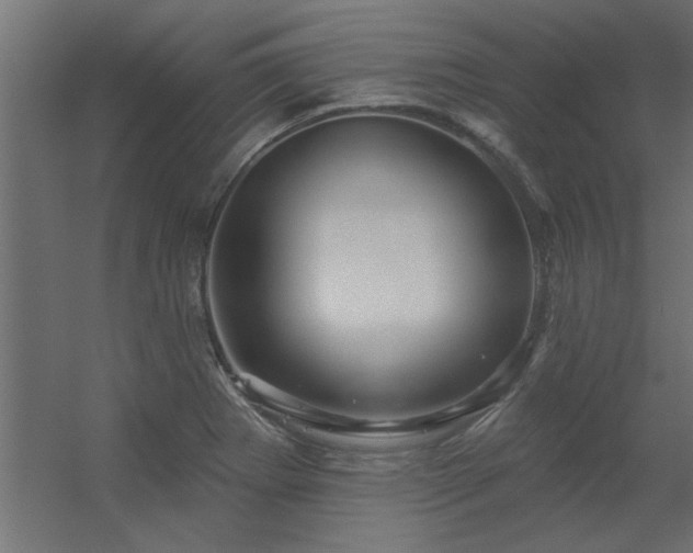 X0000056331273200509021620