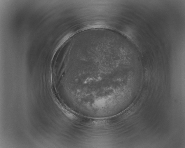 X0000056331274200509021620