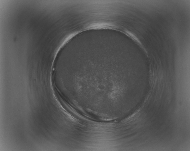 X0000056331277200509021620