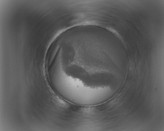 X0000056331278200509021620