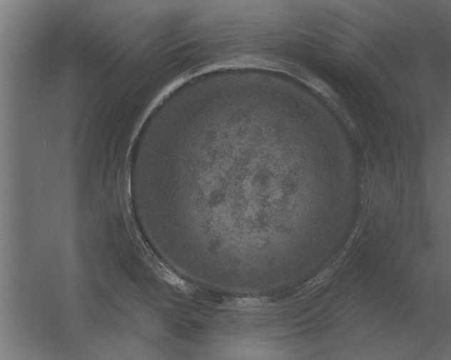 X0000056331280200509021620