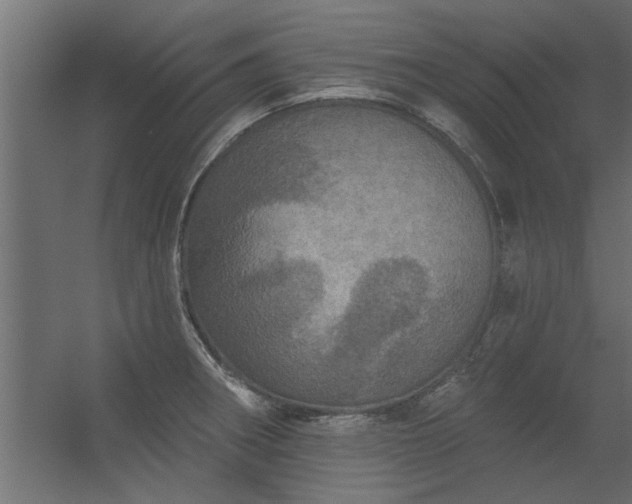 X0000056331282200509021620