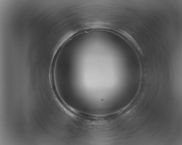 X0000056331285200509021620