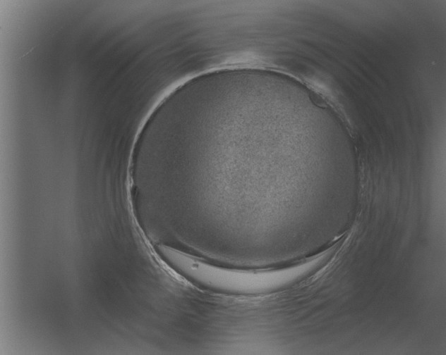 X0000056331288200509021619