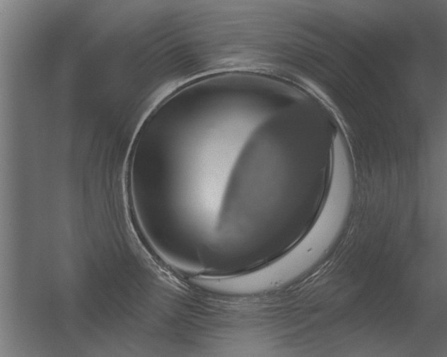 X0000056331291200509021619