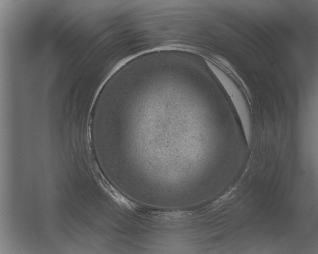 X0000056331292200509021619