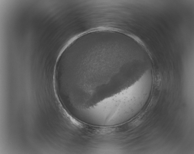 X0000056331294200509021619