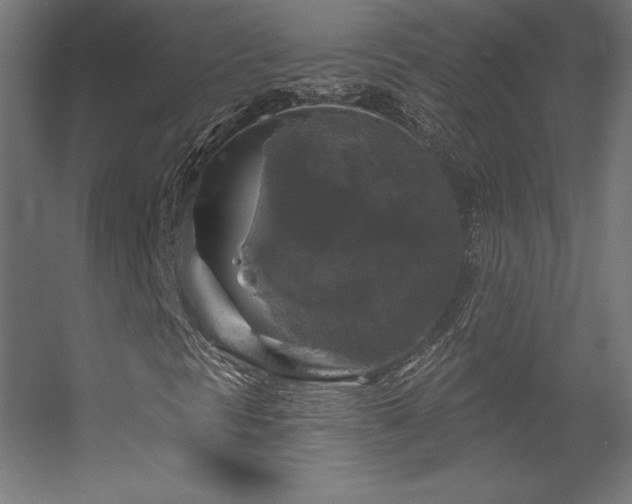 X0000056331297200509021619