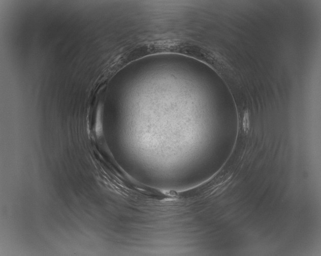 X0000056331299200509021619