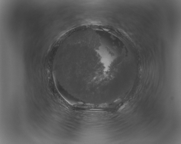 X0000056331303200509021619