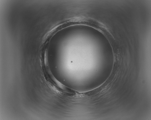 X0000056331304200509021619