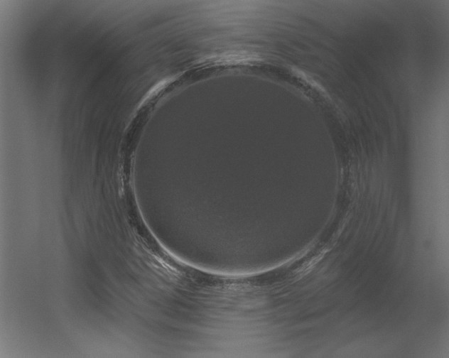 X0000056331306200509021619