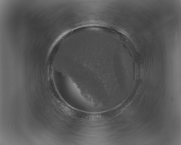 X0000056331310200509021619