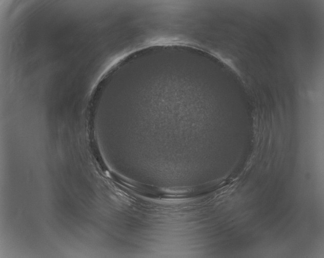 X0000056331311200509021619