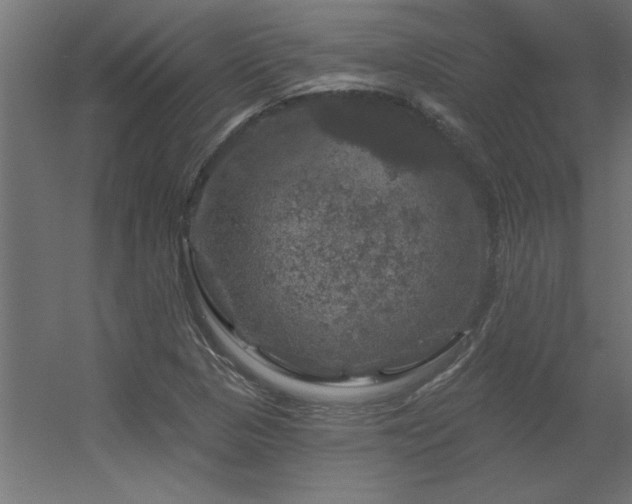 X0000056331313200509021619