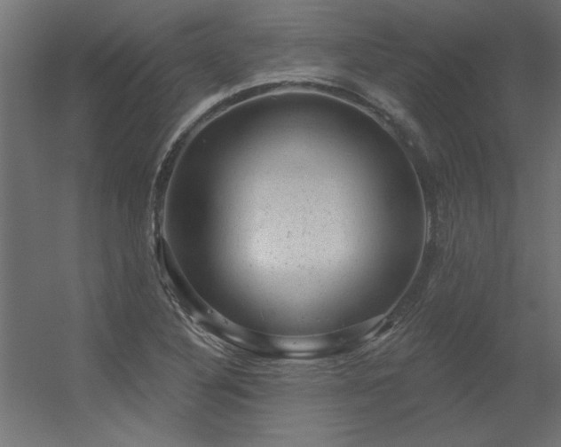 X0000056331316200509021619