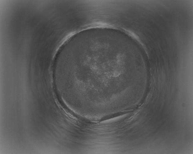 X0000056331318200509021619