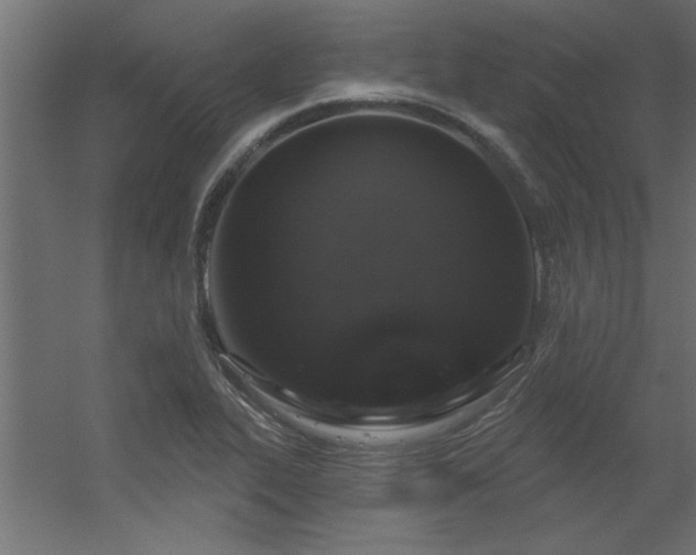 X0000056331319200509021619