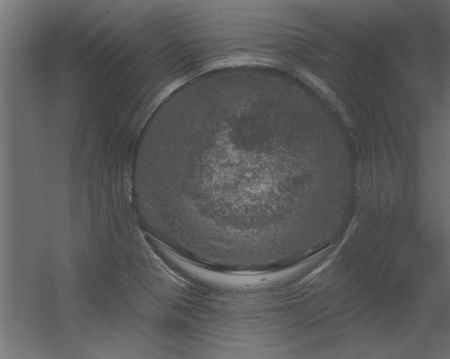 X0000056331321200509021619